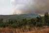 Grecia este pârjolită de cele mai grave incendii de vegetație din istorie. Autorităţile au activat o alertă de gradul 5 de risc 720460