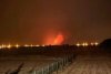 Incendiu de vegetaţie în Corbeanca, Ilfov. Nadina Câmpean: "Focul este uriaş. Este infiorător!" 720588