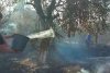 Alertă în Mehedinţi! Un nou incendiu de vegetaţie a izbucnit lângă satul unde zeci de gospodării au fost făcute scrum  721317