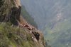 Imagini terifiante de la alunecarea de teren care a îngropat zeci de oameni pe un munte, în India 721514
