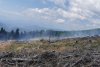 Incendiu de vegetație izbucnit în Munții Șureanu. Peste patru hectare de teren afectate de flăcări 722241