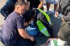 Pompierii buzoieni care au stins incendii în Grecia, gest eroic la întoarcerea în țară. Au acordat primul ajutor victimei unui accident rutier 722449