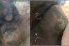 Imagini înduioșătoare cu un pui de urangutan care săruta burtica unei gravide prin geamul de protecție al unei grădini zoologice din Marea Britanie 723071
