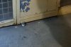 Operațiune de salvare neobișnuită în Pitești. O pisică rămasă blocată sub uşa unui bloc, salvată în aplauzele locatarilor 723835