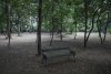 Cişmigiu, un parc fantomă, lăsat uitării de Nicuşor Dan 723891