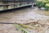 Ploile au inundat străzi și zeci de gospodării în județul Brașov 724256