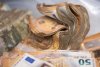 Mii de bancnote ude şi pline de noroi adunate de angajaţii Băncii Federale din Germania pentru a fi curăţate şi spălate după inundaţiile devastatoare 724845
