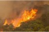 Incendiile fac ravagii în sudul Spaniei: 1 pompier a murit și 1.000 de oameni au fost evacuați 726261