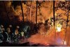 Incendiile fac ravagii în sudul Spaniei: 1 pompier a murit și 1.000 de oameni au fost evacuați 726264