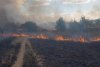 Incendiu de vegetaţie în Parcul Nicolae Romanescu din Craiova 727575