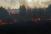 Incendiu de vegetaţie în Parcul Nicolae Romanescu din Craiova 727579