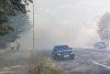Incendiu de vegetaţie în Parcul Nicolae Romanescu din Craiova 727580