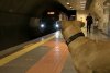 Câinele care ia zilnic metroul și dă prioritate la coborâre, în Istanbul 729861