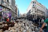 Oile placide s-au așternut la iernat, dar mai întâi și-au croit drum, vioaie, prin centrul Madridului. "Oh, totul e minunat!" 732896