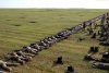 Rusia a masat tancuri și trupe la granița cu Ucraina. Pentagonul confirmă "o activitate neobișnuită" a armatei ruse 734060