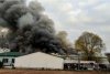 Incendiu de proporţii, pe o suprafaţă de 1.000 de metri pătraţi, la o fabrică de mezeluri din Olt 736081