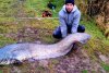 "Monstru" de 70 kg! Somn uriaş, lung de 2 metri, prins de un pescar din Satu Mare 737492