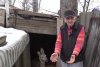 Căprioara ”Mădălina”, animalul sălbatic salvat și crescut de un bărbat din Botoșani în propria curte: ”Am hrănit-o cu lingurița” 740423