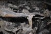Noi imagini de la incendiul devastator care a mistuit un bloc din Constanţa 741561