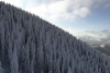 Zăpadă ca-n poveşti pe pârtiile de schi din zona superioară a masivului Postăvarul. Prețurile la transportul pe cablu au suferit modificări 742290