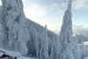 Zăpadă ca-n poveşti pe pârtiile de schi din zona superioară a masivului Postăvarul. Prețurile la transportul pe cablu au suferit modificări 742291