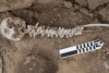 Descoperire macabră: schelete umane cu șira spinării înfiptă în țepușe de trestie, în Peru 748531