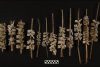Descoperire macabră: schelete umane cu șira spinării înfiptă în țepușe de trestie, în Peru 748532