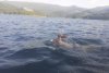 Povestea primului român care a câştigat titlul "Performanţa anului 2021" la înot în apele deschise: "Prin credinţă totul este posibil" 749201