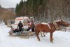 O bătrână cu piciorul rupt, dusă cu sania trasă de cai la Ambulanţa care nu putea urca de zăpadă, în Hunedoara 749448