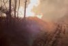 Incendii puternice de vegetație în două comune din Dolj. Sătenii au sărit în ajutorul pompierilor pentru a stinge focul 750666