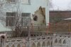 Reuters: OSCE confirmă bombardamente în estul Ucrainei. Ar fi fost lovită o grădiniță. Separatiștii și forțele Kievului se acuză reciproc 751395