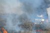 Flăcări uriaşe pe Autostrada Bucureşti-Piteşti. Un TIR s-a făcut scrum, iar focul s-a extins şi la vegetaţia din jur 758579