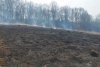 Incendiu puternic de vegetaţie în judeţul Prahova. Autorităţile au emis mesaj Ro-Alert  758784