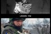 Pisicile, aliați de nădejde pentru soldații ucraineni în vreme de război. Cum își arată felinele susținerea 759582