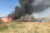 Directorul ANM anunță în ce direcție se va îndrepta norul de fum provocat de incendiul din Delta Văcărești 759990