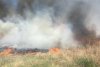 Directorul ANM anunță în ce direcție se va îndrepta norul de fum provocat de incendiul din Delta Văcărești 759991