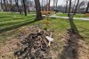 Cristi Popovici, trimisul special Antena 3 în Ucraina: "În Irpin oamenii și-au îngropat vecinii în fața blocurilor" 760670