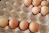 Ouă aproape expirate, sparte sau depozitate pe rafturi ruginite. ANPC a dat amenzi de 380.000 lei 761646