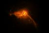 Descoperire revoluționară în galaxia noastră, după ce oamenii de știință au folosit telescopul Event Horizon 765793