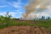 Incendiu violent de vegetație,  în Parcul Grozăvești din Capitală! A fost transmis un mesaj Ro-Alert 766559
