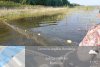 Razie pe Dunăre: Garda de Mediu a găsit sute de kilograme de peşte în plasele amplasate ilegal 767483