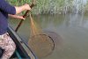 Razie pe Dunăre: Garda de Mediu a găsit sute de kilograme de peşte în plasele amplasate ilegal 767484