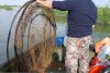 Razie pe Dunăre: Garda de Mediu a găsit sute de kilograme de peşte în plasele amplasate ilegal 767486