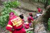 Tragedie într-o pădure din Sibiu! Un bărbat şi-a pierdut viaţa, după ce copacul pe care îl tăia, a căzut peste el 767849