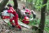 Tragedie într-o pădure din Sibiu! Un bărbat şi-a pierdut viaţa, după ce copacul pe care îl tăia, a căzut peste el 767850