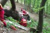 Tragedie într-o pădure din Sibiu! Un bărbat şi-a pierdut viaţa, după ce copacul pe care îl tăia, a căzut peste el 767851