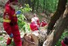 Tragedie într-o pădure din Sibiu! Un bărbat şi-a pierdut viaţa, după ce copacul pe care îl tăia, a căzut peste el 767853