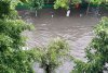 Ploaia torențială din București a adus inundații pe bulevardele mari și copaci căzuți 768426