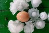 Ploaie cu grindină de mărimea unui ou de găină, în Bulgaria 770760