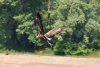 Una dintre cele mai rare păsări din România a fost fotografiată în zona unui lac 771001